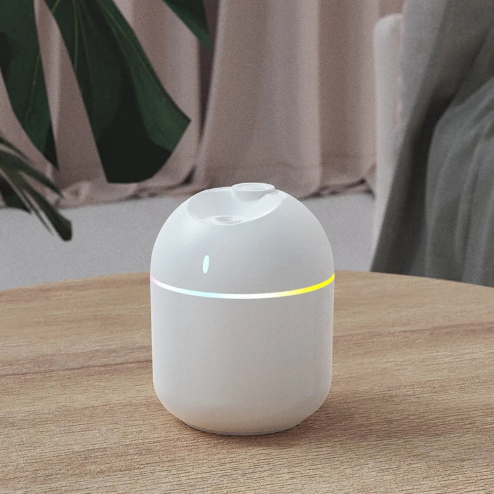 270ml Cool Mist Humidifier & Aroma Diffuser with LED Night Light